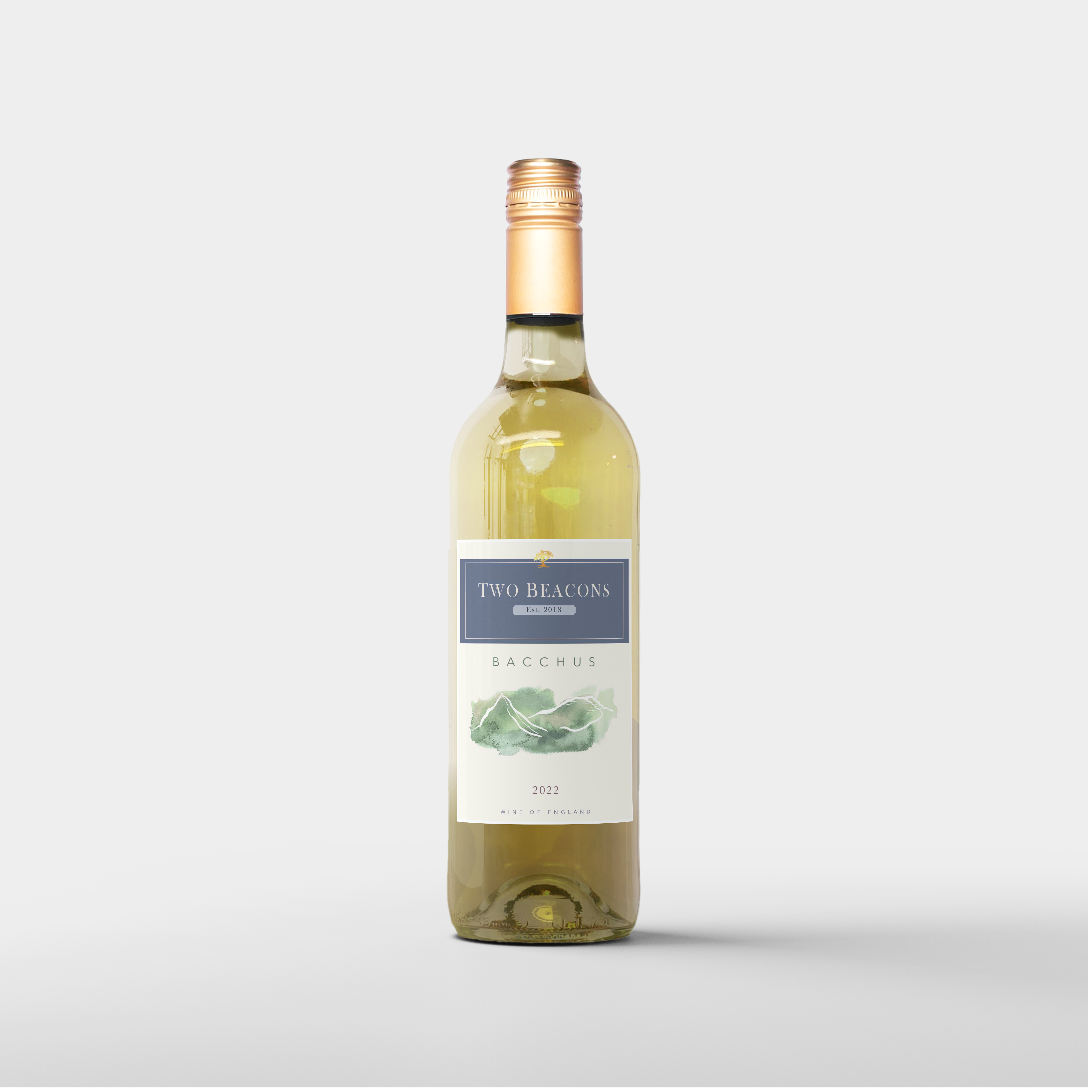 2022 Bacchus - 12% ABV – Two Beacons Vineyard