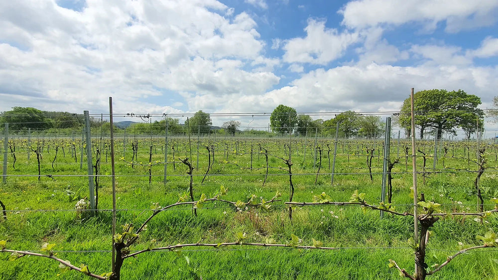 The growing season is underway