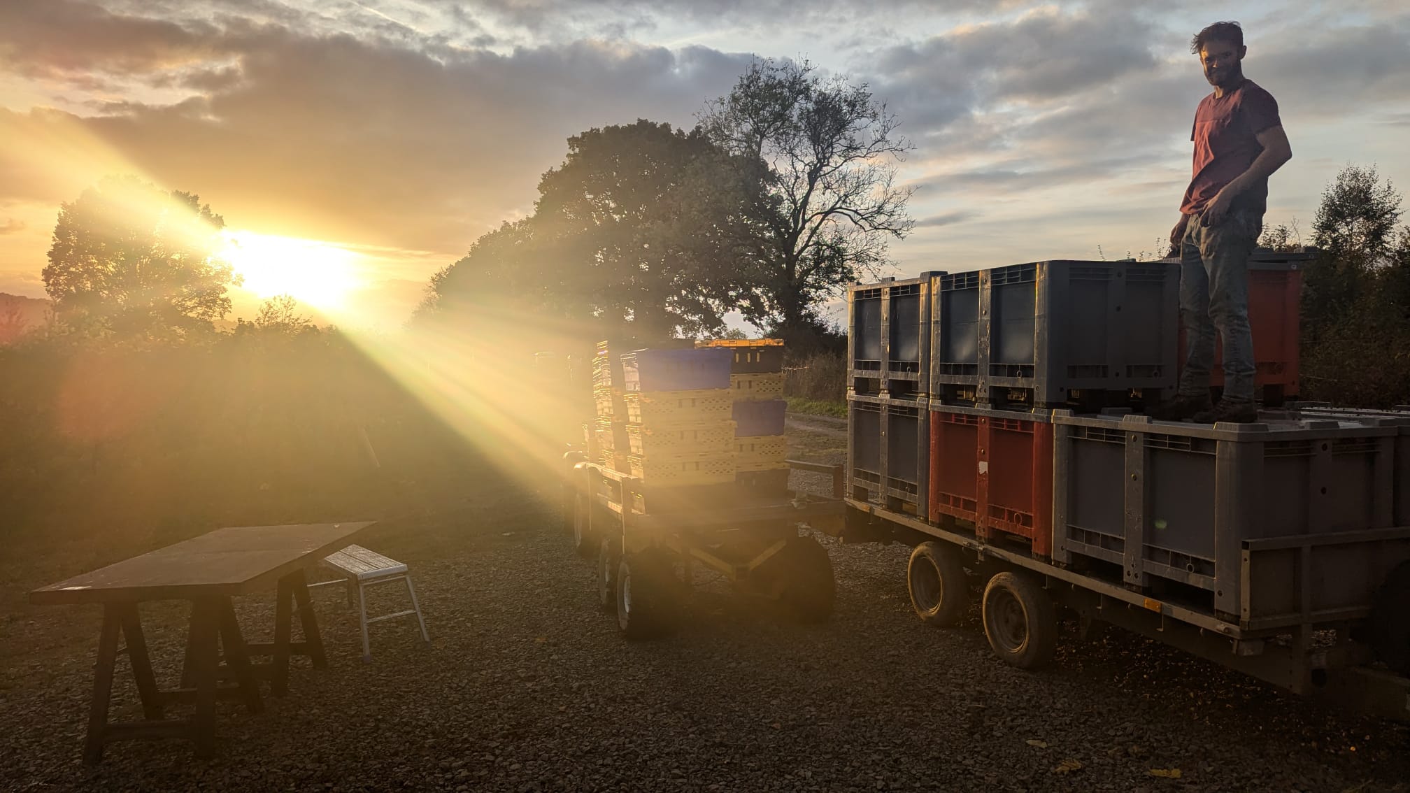Harvest time at Two Beacons