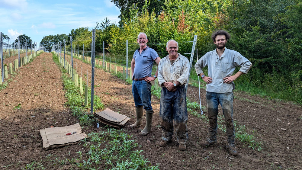 Vineyard Tour & Tasting