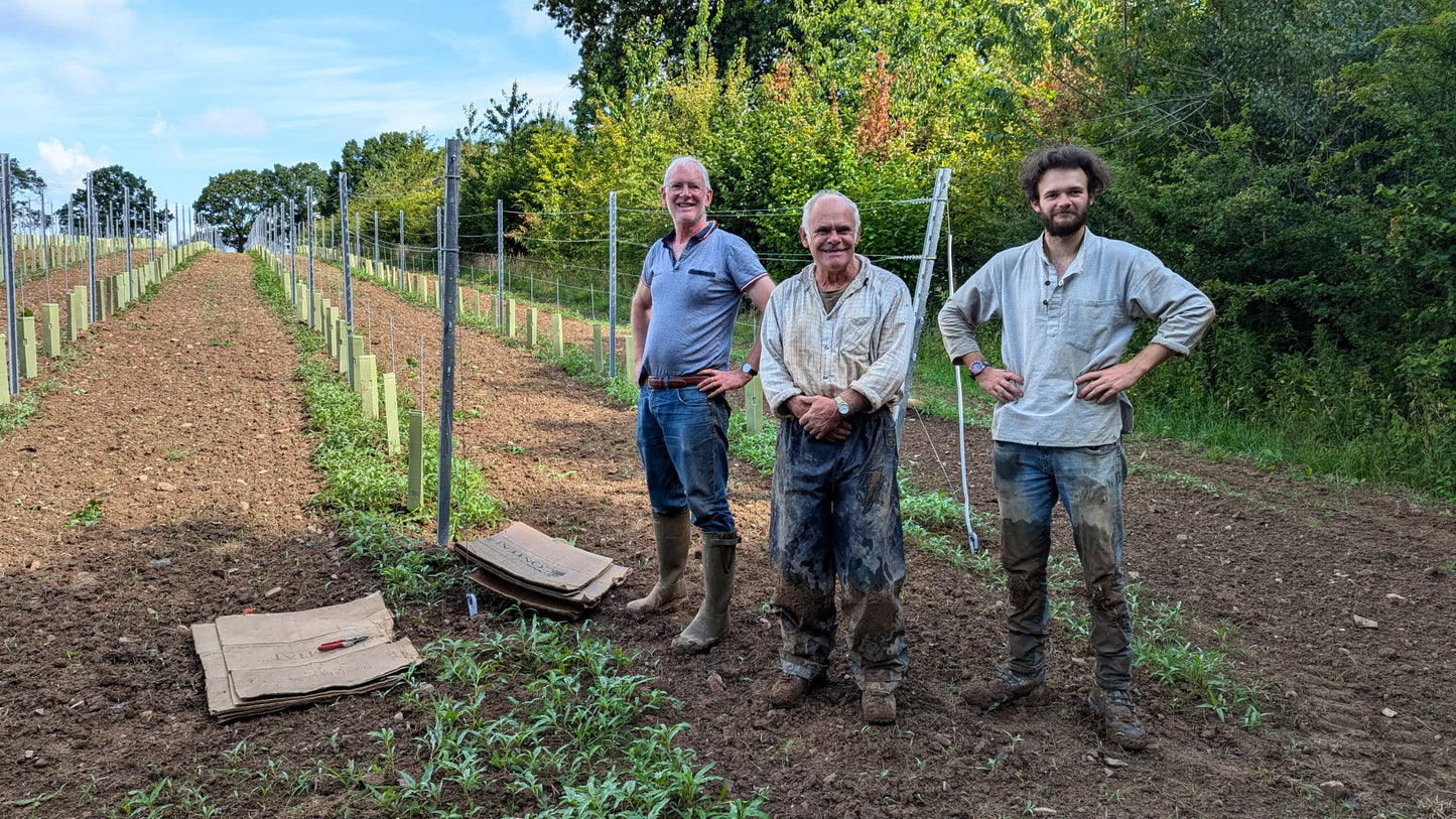 Vineyard Tour & Tasting