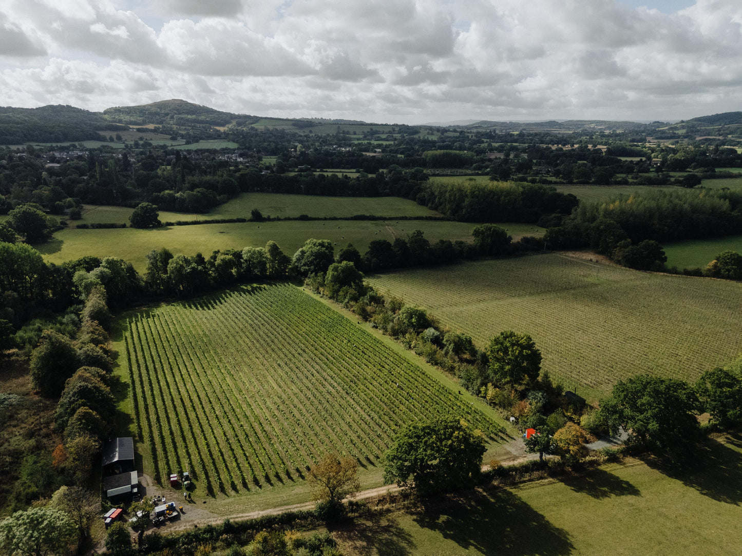 Putt & Pour at Two Beacons Vineyard