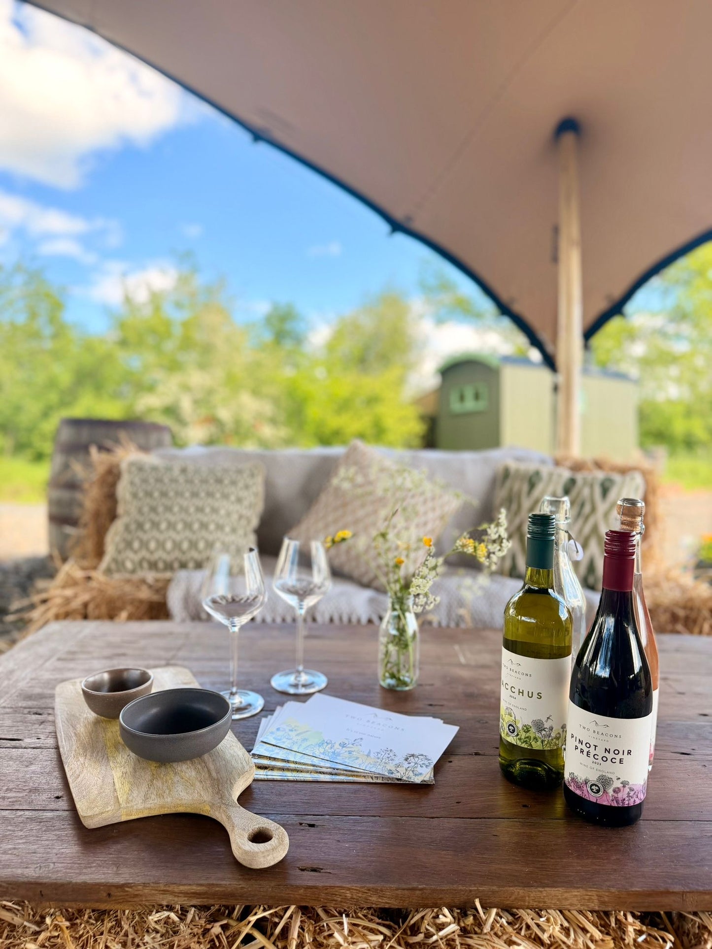 Vineyard Tour & Tasting