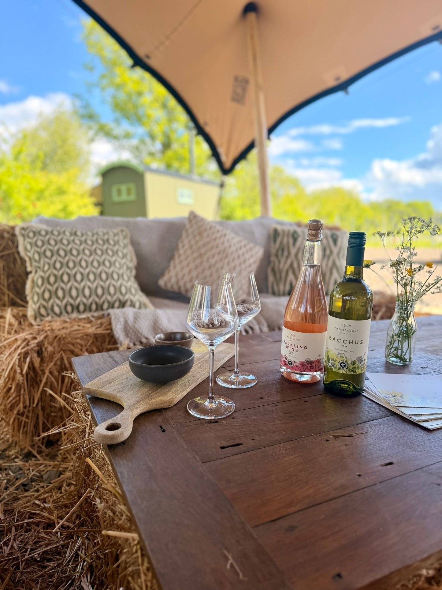 Vineyard Tour & Tasting
