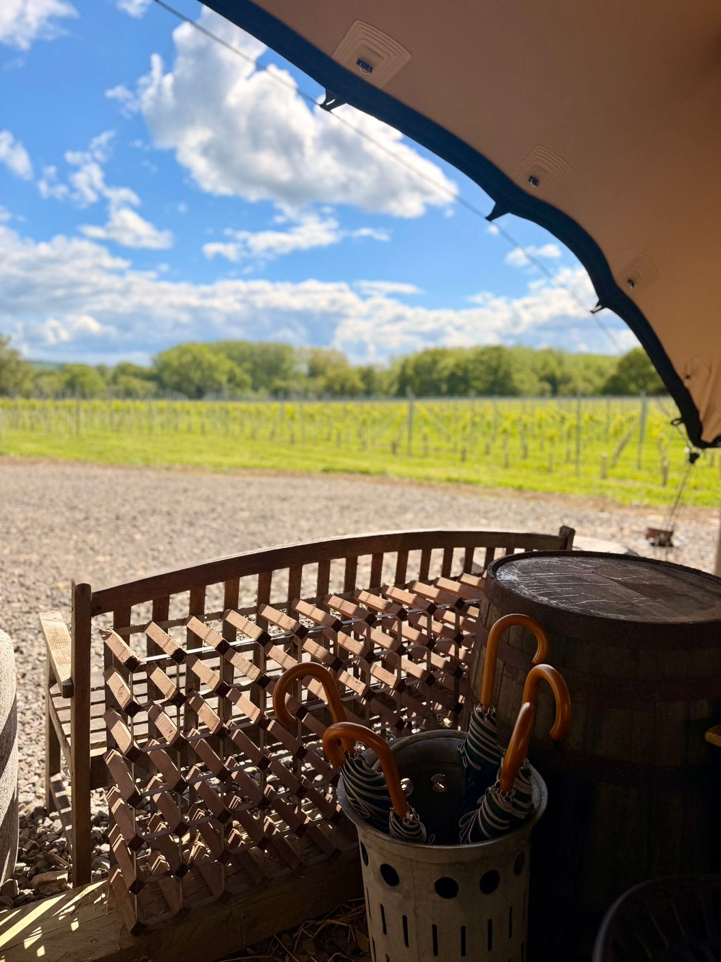 Vineyard Tour & Tasting