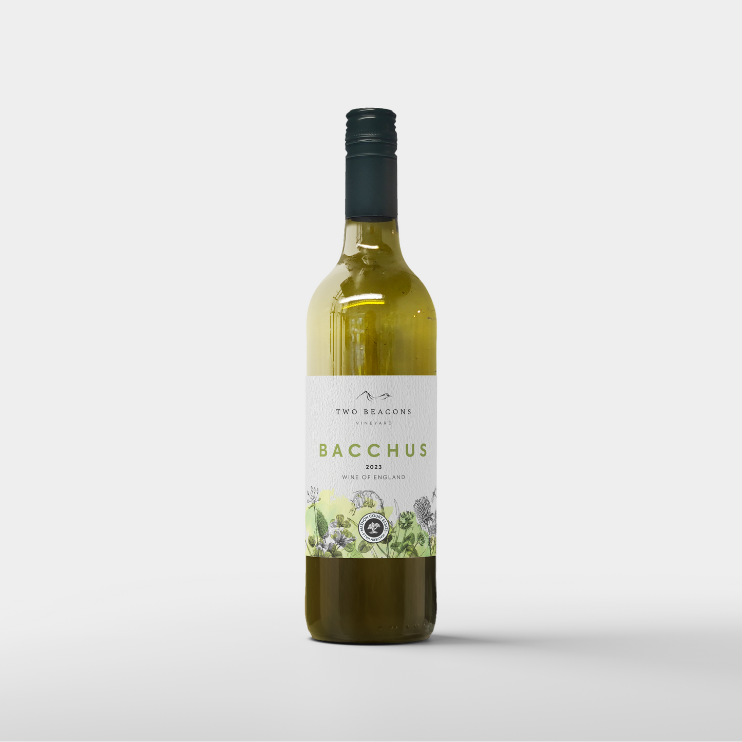 【11482】Bacchus beginning 期 現 handmade 2024 Bacchus - 11.5% ABV – Two Beacons Vineyard