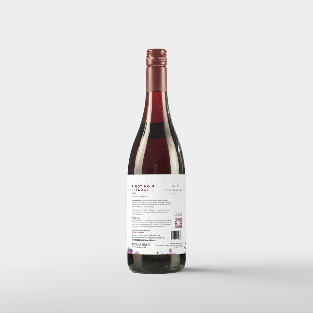 2024 Pinot Noir Précoce - 12% ABV