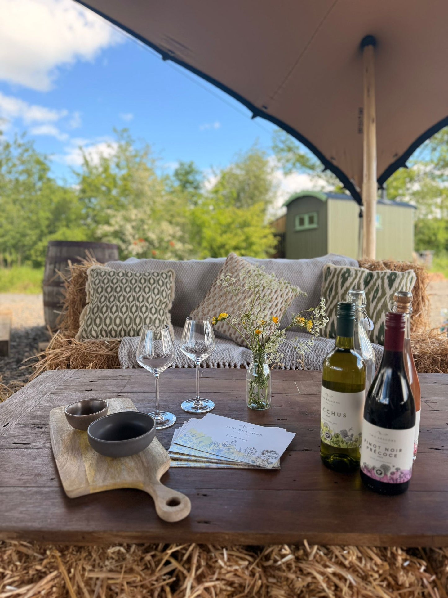 Vineyard Tour & Tasting