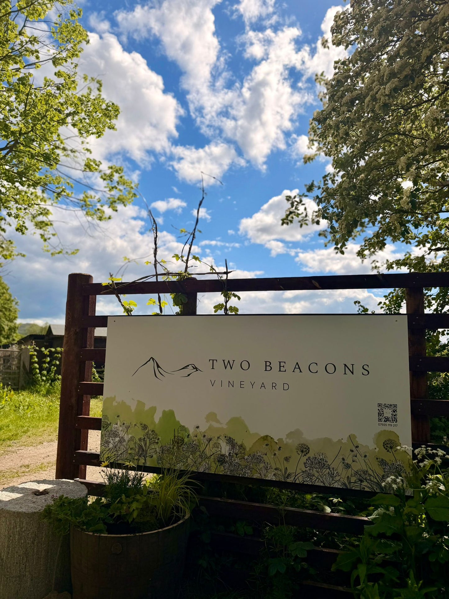 Vineyard Tour & Tasting